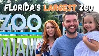 Florida's Largest Zoo | Zoo Miami
