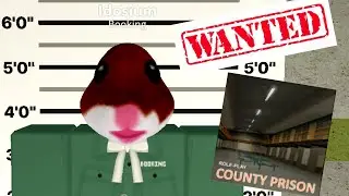 The Roblox Prisoner Experience