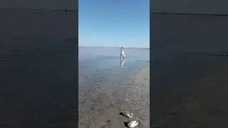 Евпатория. Крым. Озеро Сасык. Розовое озеро.
