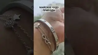 Майское Чудо😍 Доброе утро☀️ #доброеутро #май #снег #чудо #природа #short #shorts #майшатунов