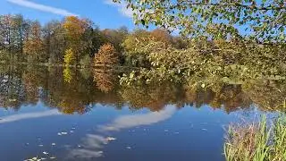 22/10/24 Bukowiec