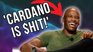 Is Cardano (ADA) a Shit Coin? BitMEX CEO Arthur Hayes Speaks Out