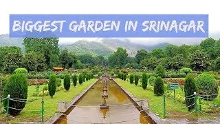 Biggest Mughal Garden - Nishat Bagh in Srinagar Kashmir India | Kashmir Tour | Safar Stories