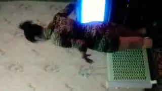 НАЗИРАХОН УЙНАШДИ УРГАНИПТИЛА
