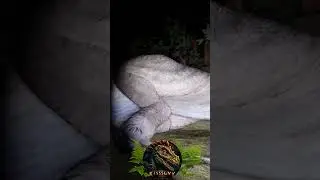 САМЫЙ СТРАШНЫЙ КОШМАР / ARK 