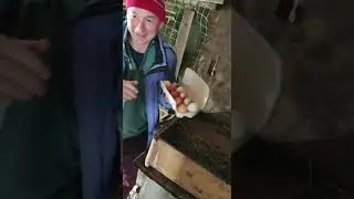 Заехал в гости к родственникам в деревню.