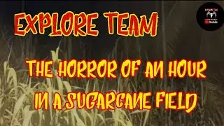 EKSPLORE TEAM (The horror of an hour in a sugarcane field)