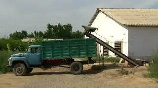 ТОВУКЧИЛИК ФЕРМАСИ