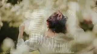 Shostakovich Waltz no 2 -From the soundtrack to the movie 