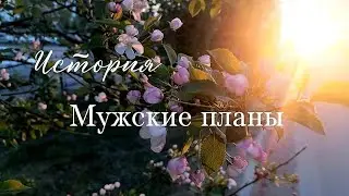 История. Мужские планы на жизнь