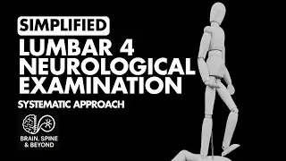 How to Examine Lumbar 4 Nerve Root? Neurological Examination Simplified
