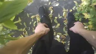 Забрались на крышу 9-этажного дома!