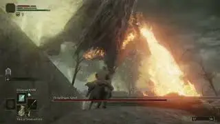 I got stepped on...