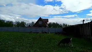 Гуляем.