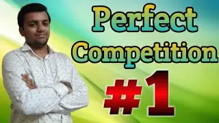 Types of Market Structure #1- Perfect Competition Market | Explained in Hindi ||