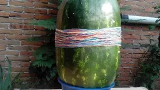 Reto de la sandia (Watermelon Challenge) - Joel Mancilla