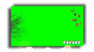 Natural green screen | Tree and leaves