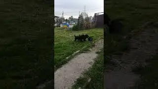 8 июня 2024 г.