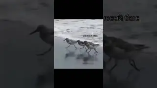 ПОЧЕМУ НУЖНО ВКЛЮЧАТЬ ЮМОР В КОНТЕНТ?