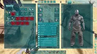 Ark