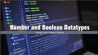 Python Tutorial For Beginners | Number and Boolean data types in Python