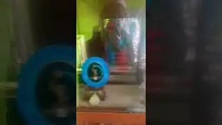 Show this video Middle of army officer #subscribe