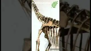 Platéosaure - Un jour, Un dino