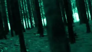 Horror Stock Footage - Escape through the Forest