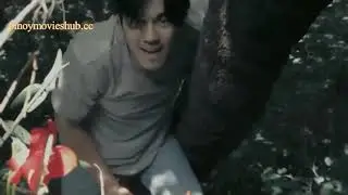 Pinoy Latest Full Movie 2020 Tagalog Blockbuster FULL MOVIE    Paulo Avelino