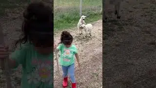 Çobanlar çok dertli 🧿🥰✅