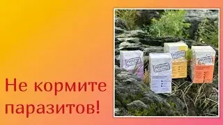 Очищение организма важно!