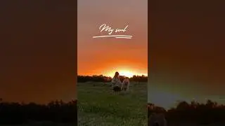 #samoed
