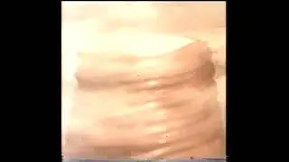 Walnut Whip Ad