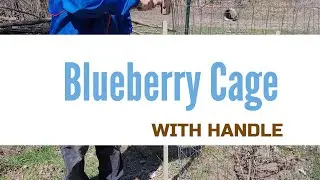 Blueberry Cage with Handle