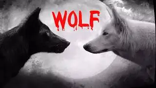 [INTRO] MY NEW INTRO!!!