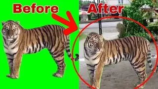 How to change Background Video in PowerDirector Android