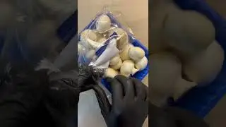 Грибы 