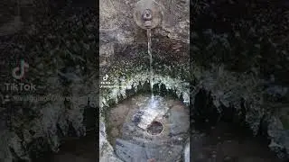 PARCO NAZIONALE DELL' ASPROMONTE (GAMBARIE)