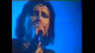 Siouxsie & The Banshees  - Helter Skelter - Live 1983