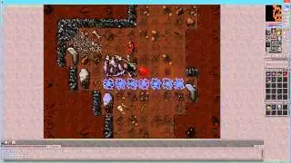 Grorlam Hydera Hero #13 / Tackling Tibia's Bosses