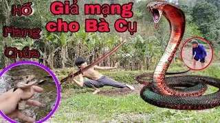Chặt Đ.ầu Rắn Hổ Mang Chúa Tấn Công Bà Lão 80 Tuổi