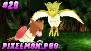 ОТКРЫВАЕМ СУНДУКИ МЬЮ😻 АРТИКУНО❄ ЗАПДОСА⚡ И МОЛТРЕСА🔥!!! МАЙНКРАФТ ПОКЕМОНЫ PIXELMON.PRO#20