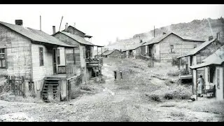 Bill King - Harlan County Shakedown 2023