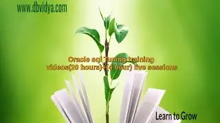 SQL Tuning Training  Video(20 hours)+Live Sessions (4 hours)-2018