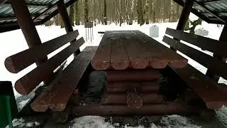 Сходили на шашлыки в лес