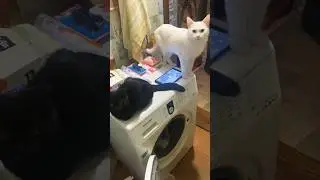 Спасатели на месте /- решил принять душ