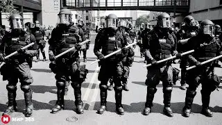 Зачем людям государство | Политика без политики