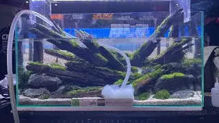🔴 [LIVE] ONE Champion Aquascape Contest - Part 2