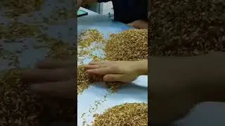 Девзира - красный рис для плова