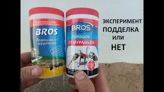 BROS EXPERIMENT. Effective remedy against ants. Fight against garden ants